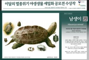 국립생태원, ‘2025년 이달의 멸종위기 야생생물 세밀화 공모전’시상식 개최