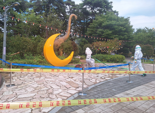 부산 송도 관광객 15명 말벌 떼 공격으로 부상